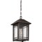 Quoizel Cedar Point Outdoor Hanging Lantern CPT1910PN - alternate 2